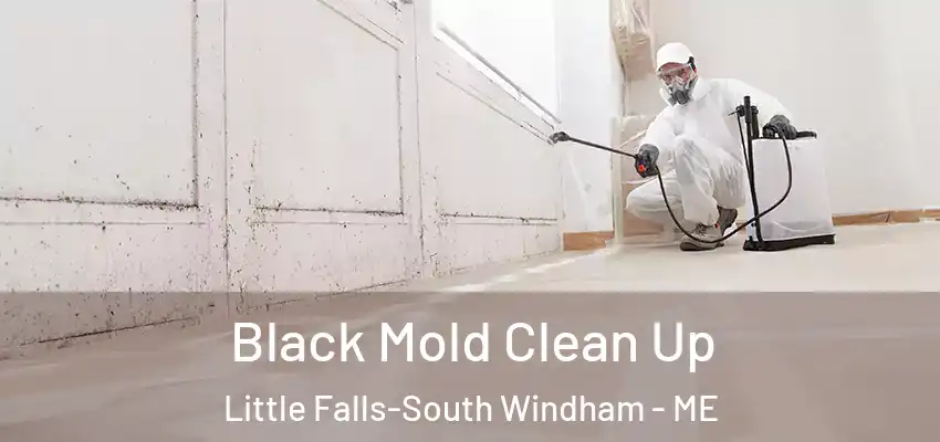  Black Mold Clean Up Little Falls-South Windham - ME