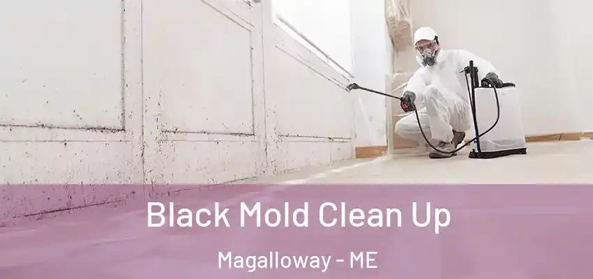  Black Mold Clean Up Magalloway - ME