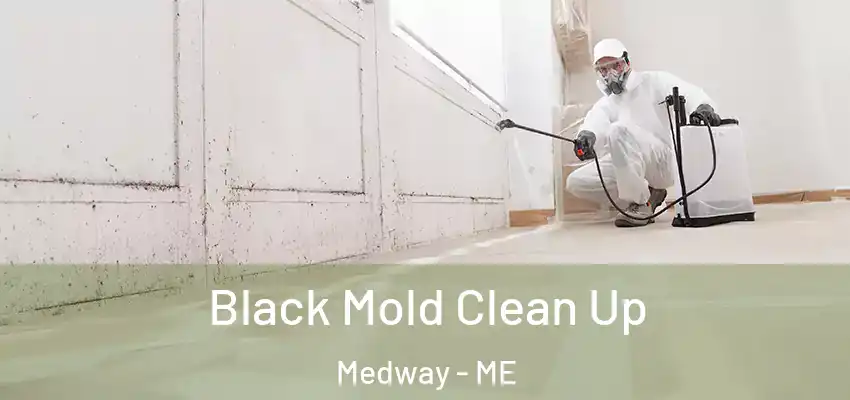  Black Mold Clean Up Medway - ME