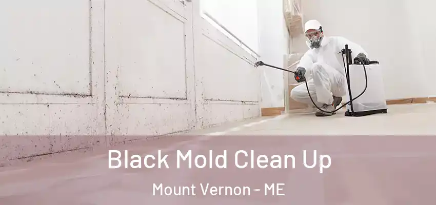  Black Mold Clean Up Mount Vernon - ME