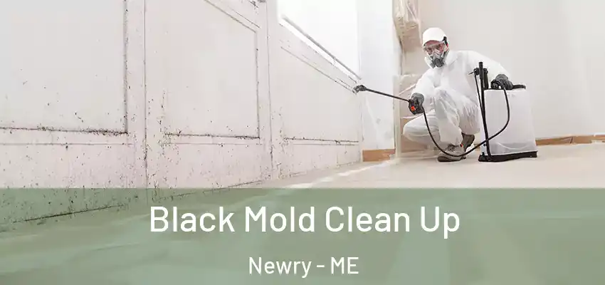  Black Mold Clean Up Newry - ME