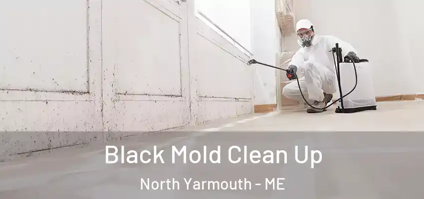  Black Mold Clean Up North Yarmouth - ME