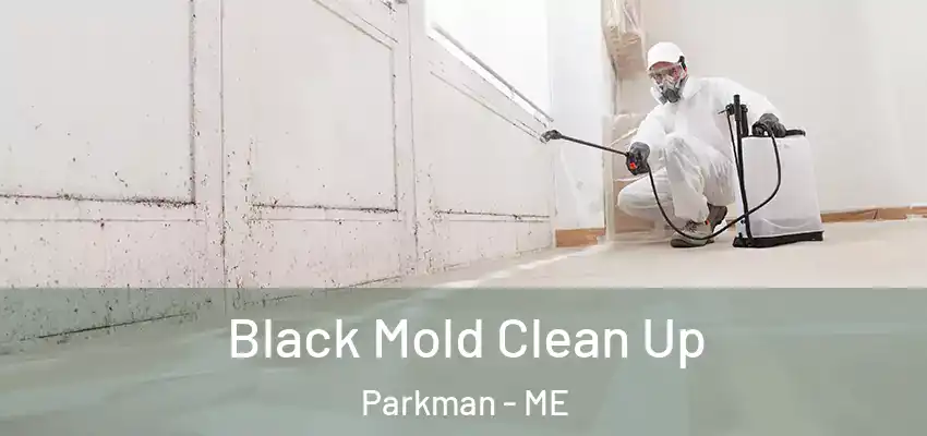  Black Mold Clean Up Parkman - ME