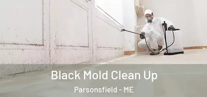  Black Mold Clean Up Parsonsfield - ME