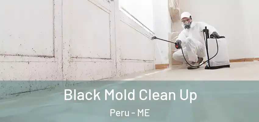  Black Mold Clean Up Peru - ME
