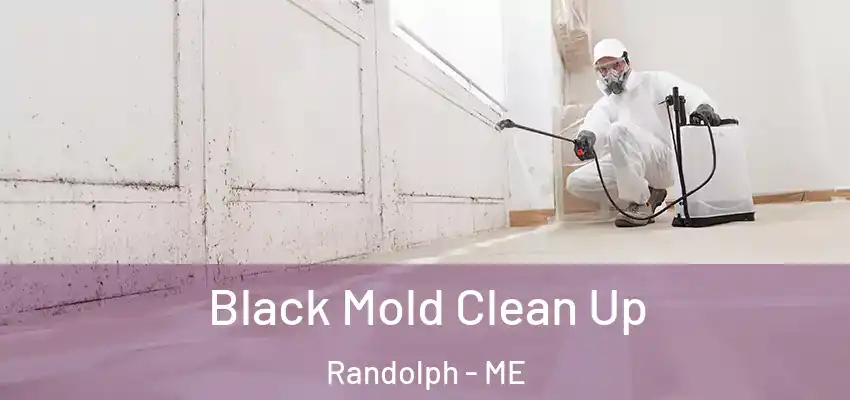  Black Mold Clean Up Randolph - ME