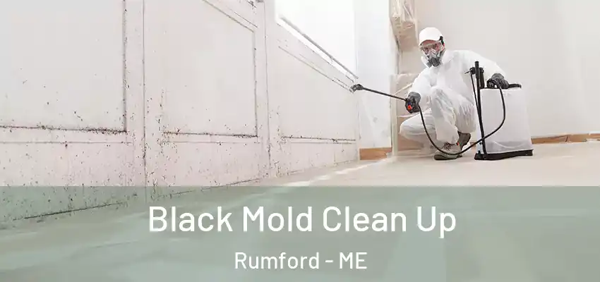  Black Mold Clean Up Rumford - ME