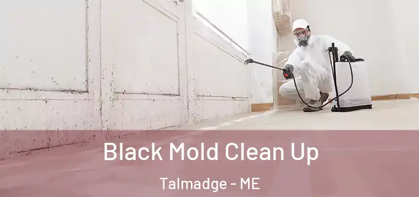  Black Mold Clean Up Talmadge - ME