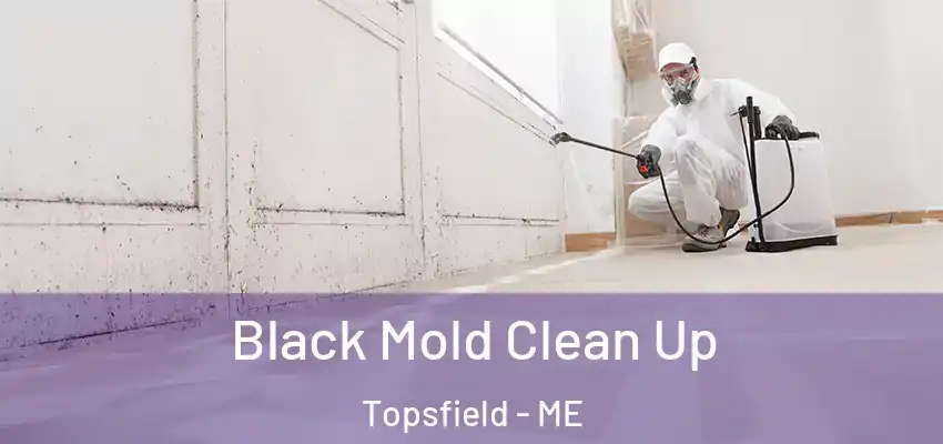  Black Mold Clean Up Topsfield - ME