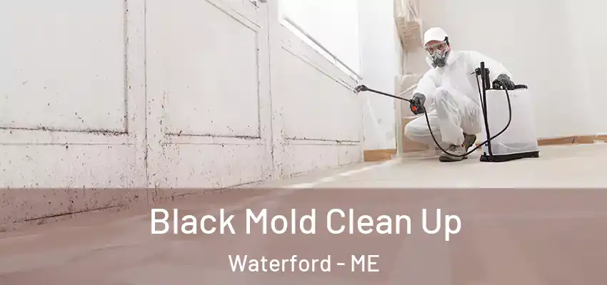  Black Mold Clean Up Waterford - ME