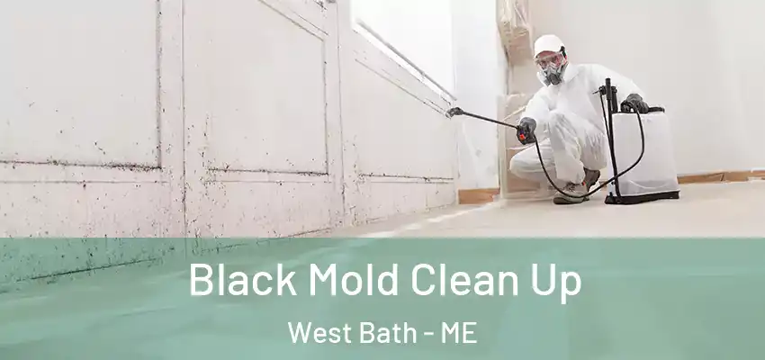  Black Mold Clean Up West Bath - ME