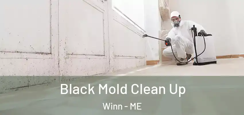  Black Mold Clean Up Winn - ME
