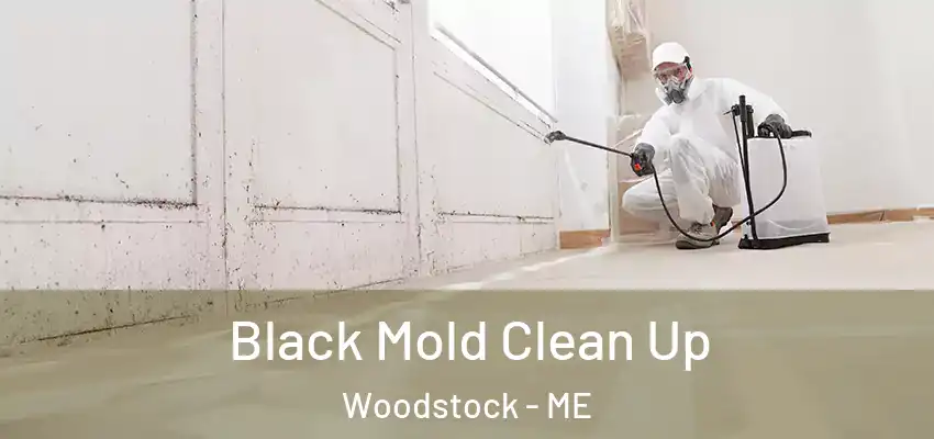  Black Mold Clean Up Woodstock - ME
