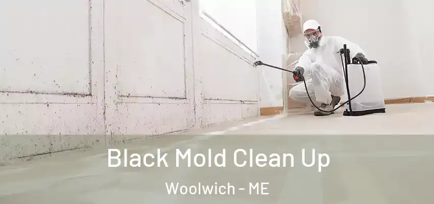  Black Mold Clean Up Woolwich - ME