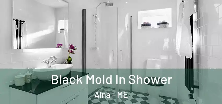  Black Mold In Shower Alna - ME