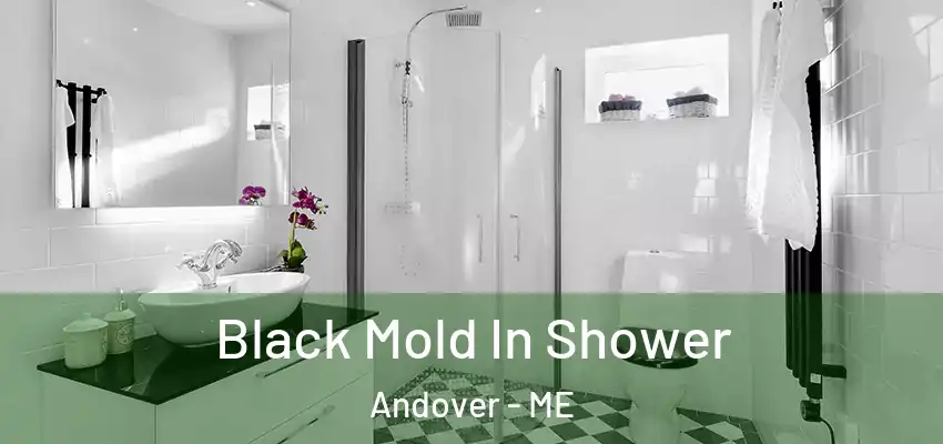  Black Mold In Shower Andover - ME