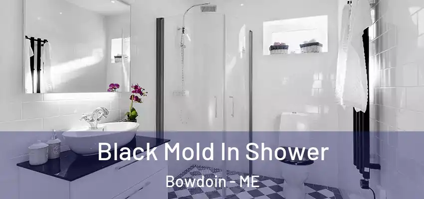  Black Mold In Shower Bowdoin - ME