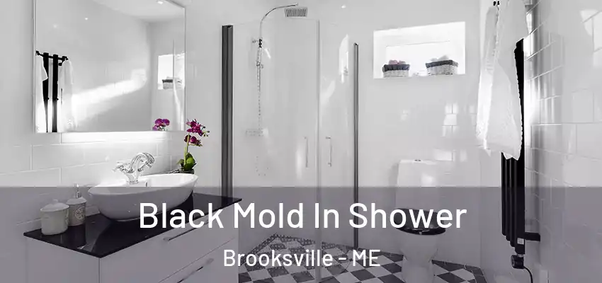  Black Mold In Shower Brooksville - ME