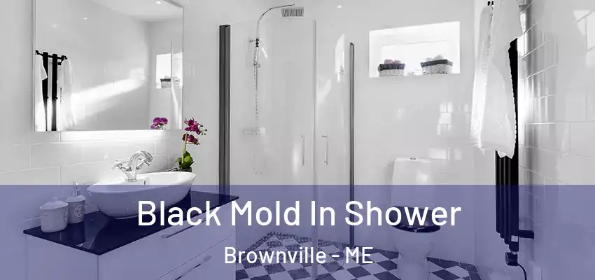  Black Mold In Shower Brownville - ME