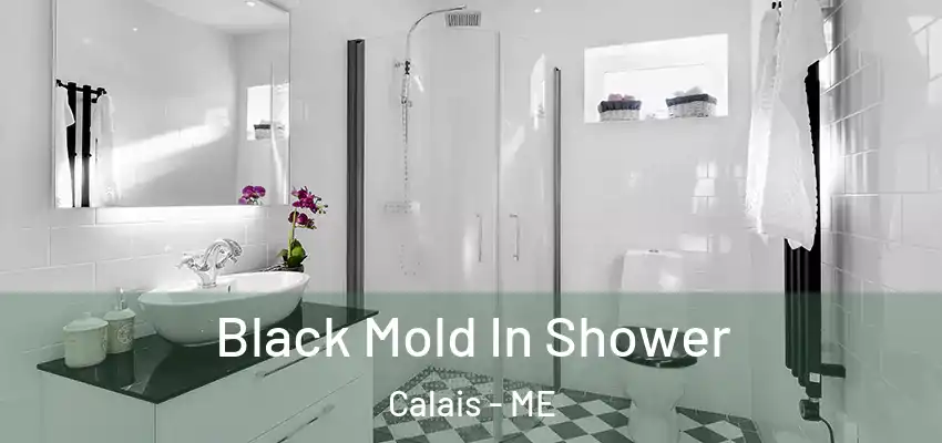  Black Mold In Shower Calais - ME
