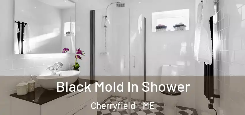  Black Mold In Shower Cherryfield - ME