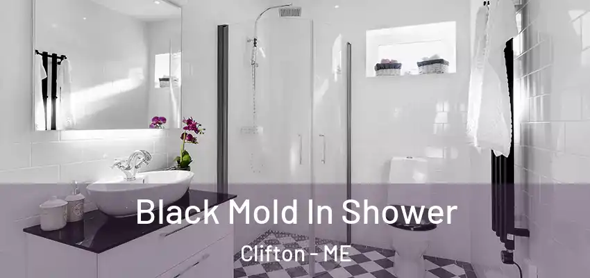  Black Mold In Shower Clifton - ME