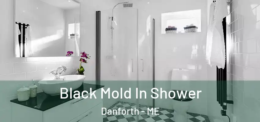  Black Mold In Shower Danforth - ME