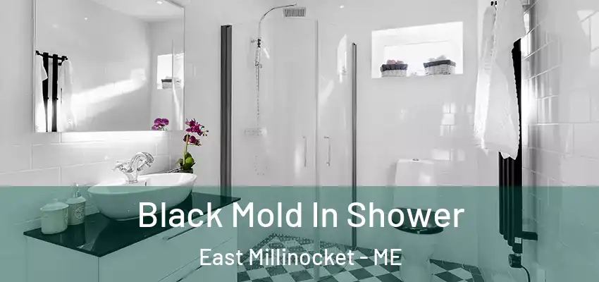  Black Mold In Shower East Millinocket - ME
