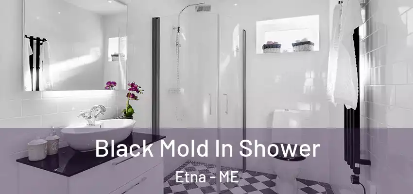  Black Mold In Shower Etna - ME