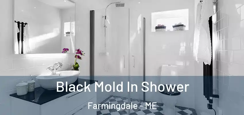  Black Mold In Shower Farmingdale - ME