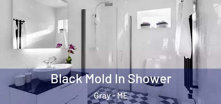  Black Mold In Shower Gray - ME