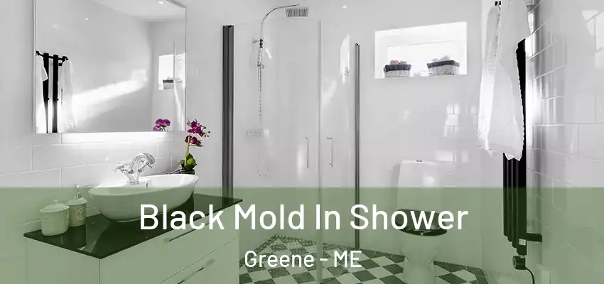  Black Mold In Shower Greene - ME