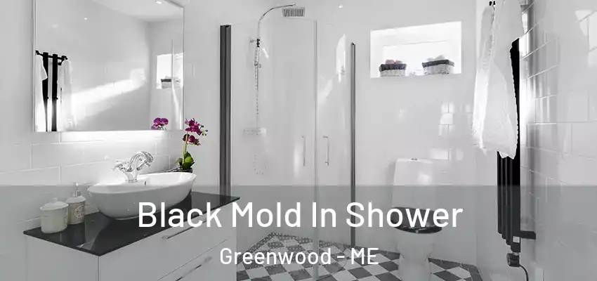  Black Mold In Shower Greenwood - ME