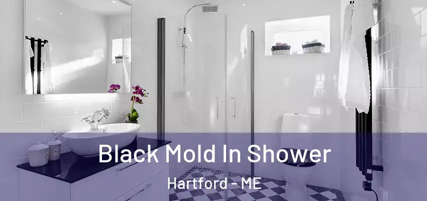 Black Mold In Shower Hartford - ME