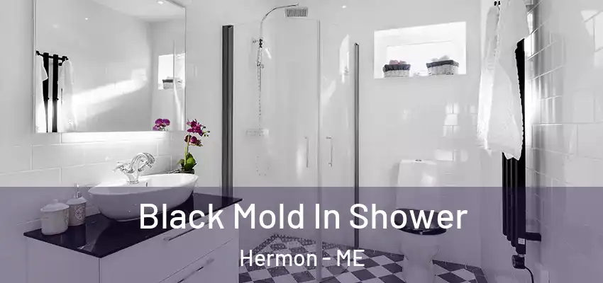  Black Mold In Shower Hermon - ME
