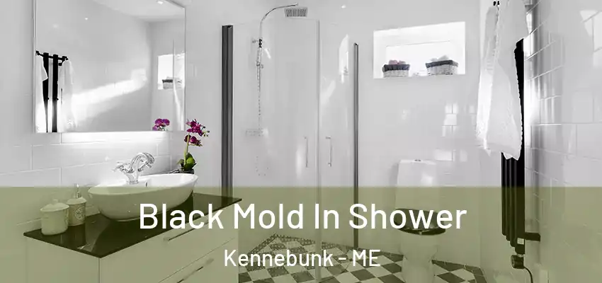  Black Mold In Shower Kennebunk - ME