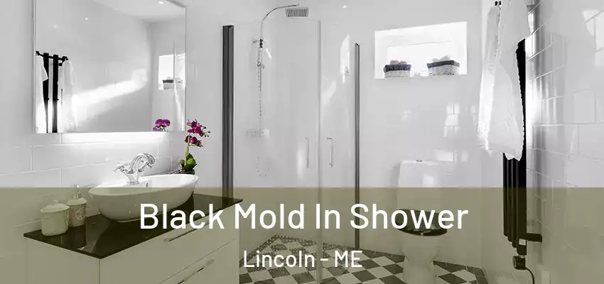  Black Mold In Shower Lincoln - ME