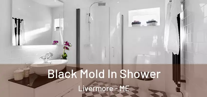  Black Mold In Shower Livermore - ME