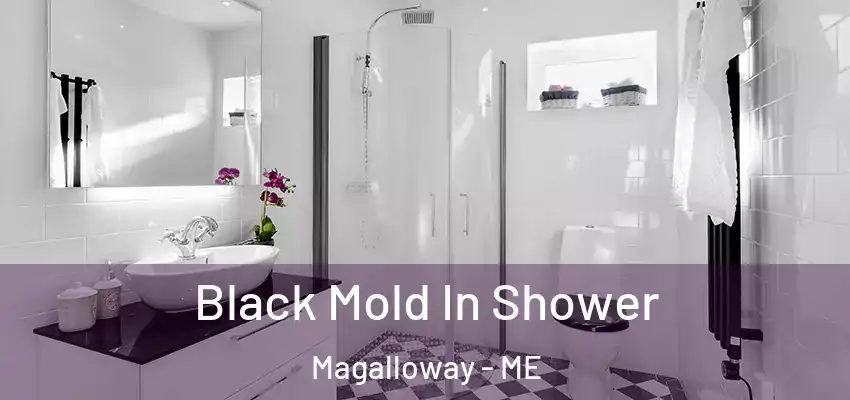  Black Mold In Shower Magalloway - ME