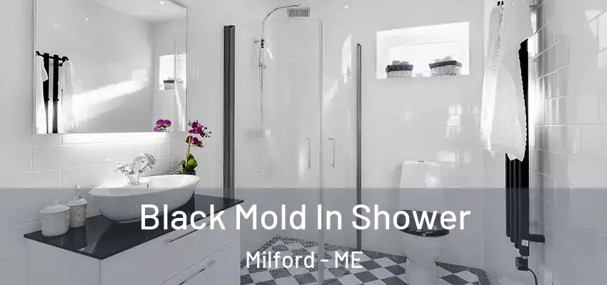  Black Mold In Shower Milford - ME