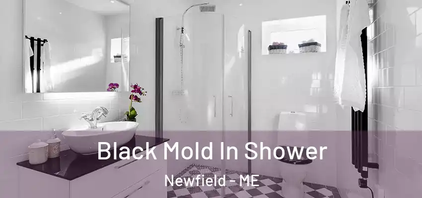  Black Mold In Shower Newfield - ME