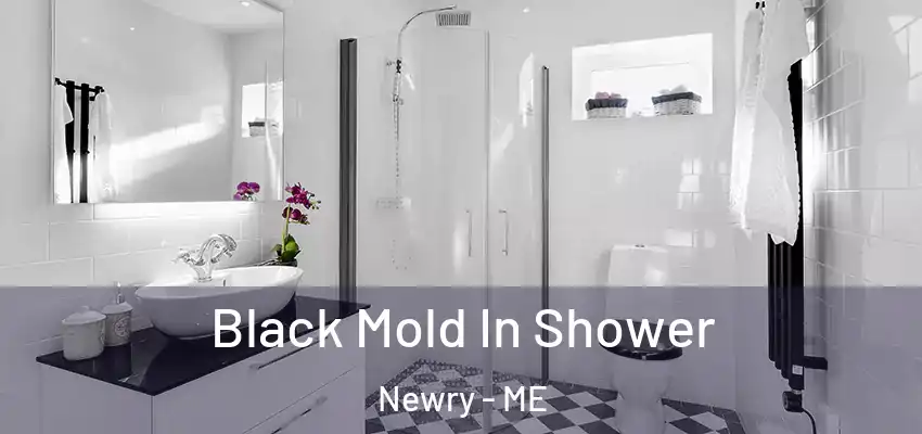 Black Mold In Shower Newry - ME