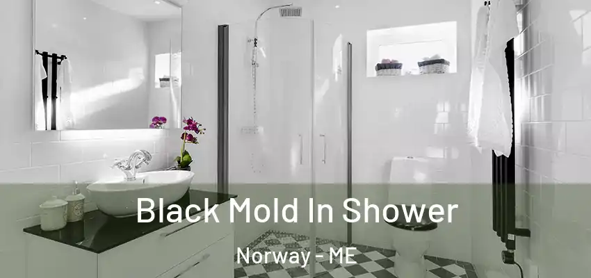  Black Mold In Shower Norway - ME