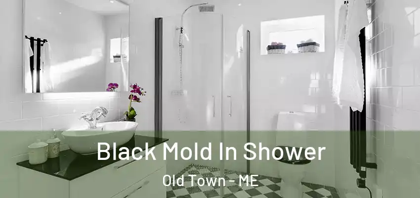  Black Mold In Shower Old Town - ME