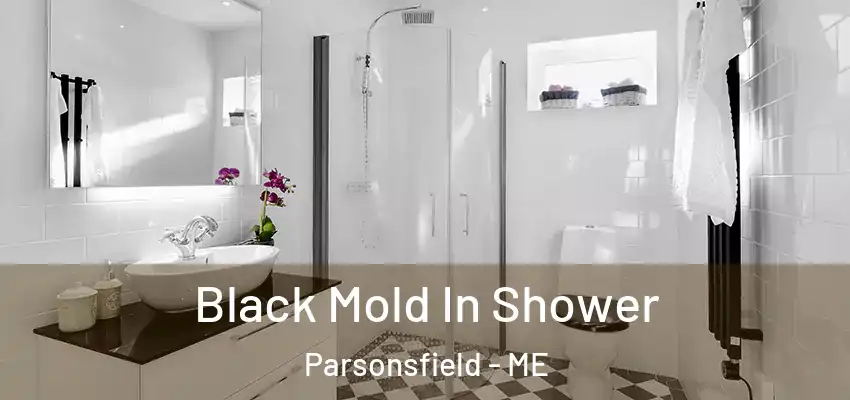  Black Mold In Shower Parsonsfield - ME