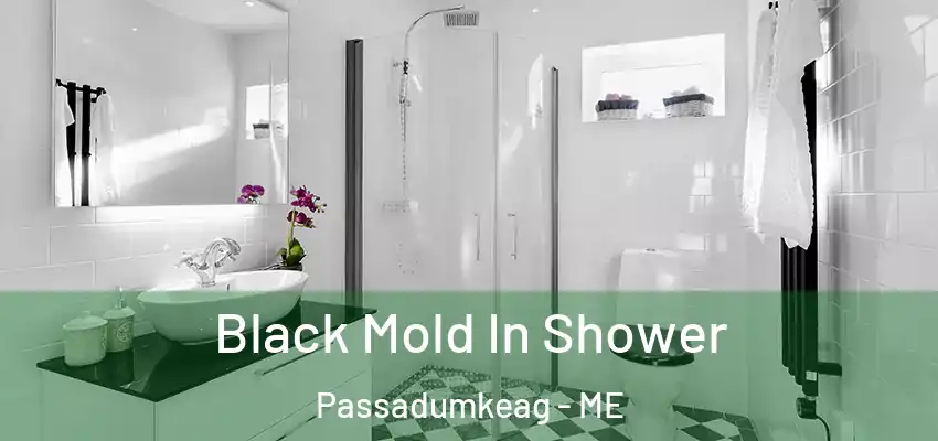  Black Mold In Shower Passadumkeag - ME