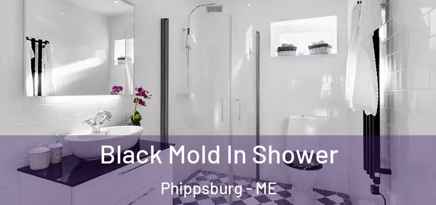  Black Mold In Shower Phippsburg - ME