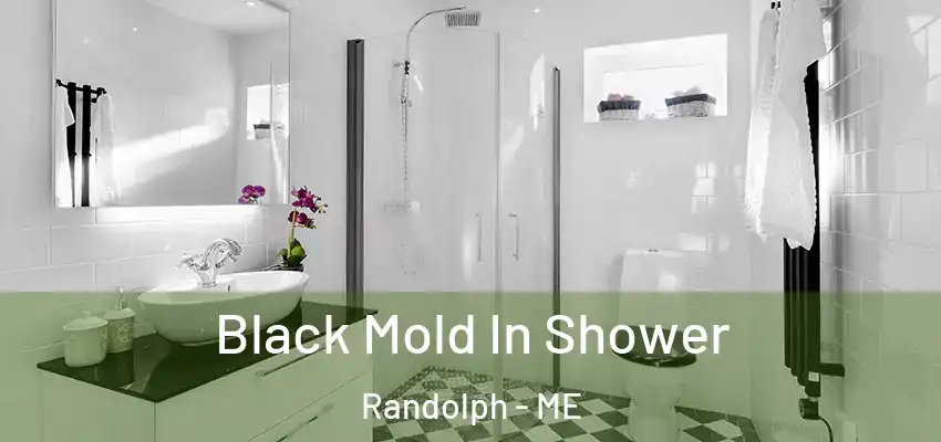  Black Mold In Shower Randolph - ME