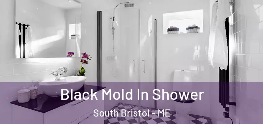  Black Mold In Shower South Bristol - ME