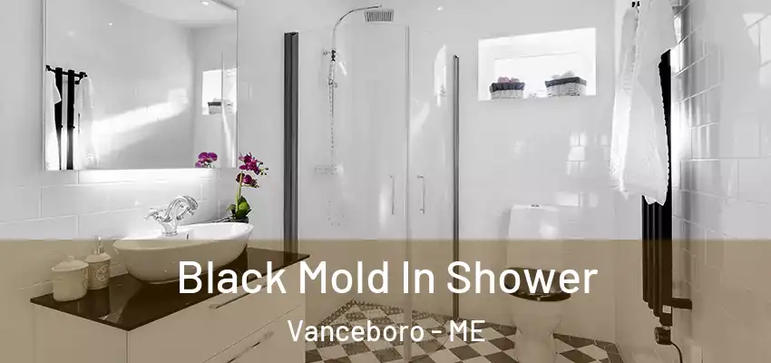  Black Mold In Shower Vanceboro - ME
